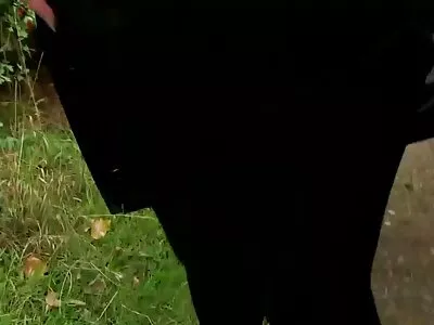 مارس الجنس سكس محارم مترجم جديد في سن المراهقة الشرج الثابت الهواة