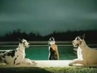 الجنس البري كمكافأة افلام سكسي اجنبي جديد