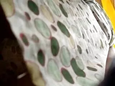 BBW سكس مقابل المال جديد شقراء فاتنة مع كبير الثدي