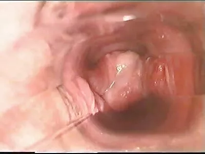 سوبر كتي يعطي سكس عربي مترجم جديد اللسان